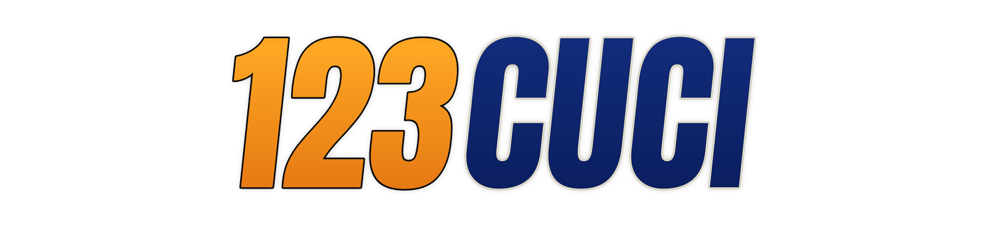 123cuci logo